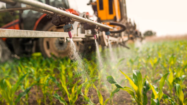 Best Ant Control Services  in Millers Creek, NC